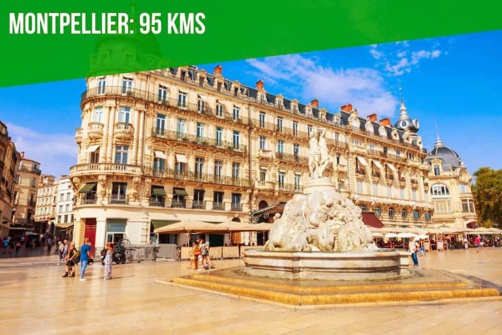 Aux Marches Du Palais - Ac Clim - Spacieux - Terrasse - Wifi 아비뇽 외부 사진